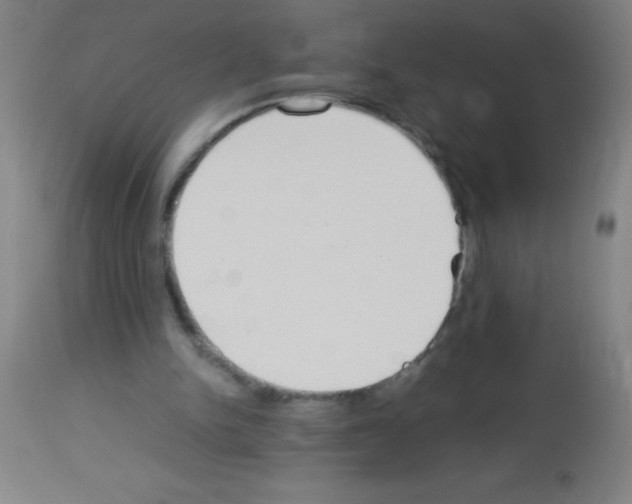 X0000113150150200910161228