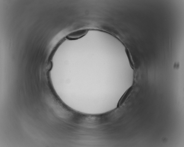 X0000113150152200910161228