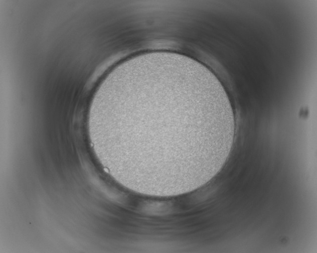 X0000113150155200910161228