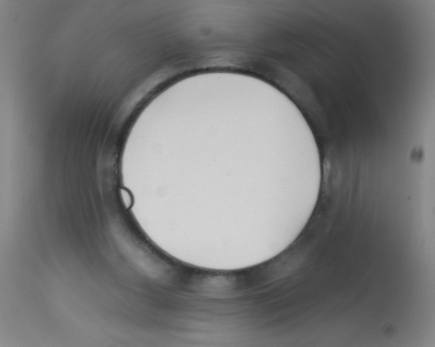 X0000113150156200910161228