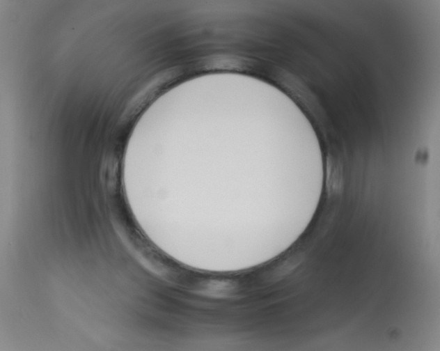 X0000113150157200910161228