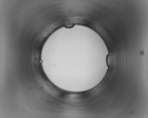 X0000113150158200910161228