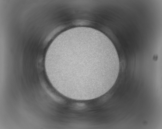 X0000113150159200910161228