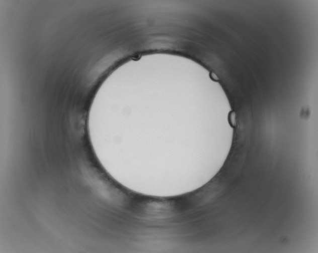 X0000113150160200910161228