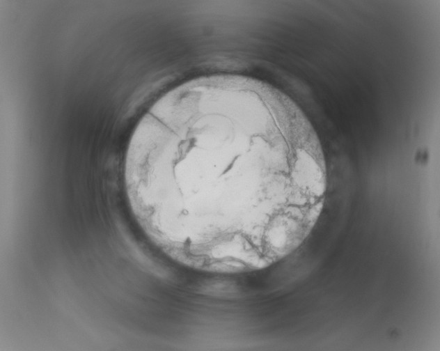 X0000113150162200910161228