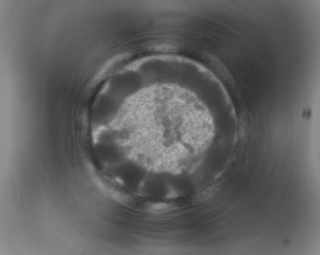 X0000113150163200910161228