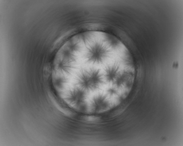 X0000113150165200910161228