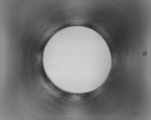 X0000113150166200910161228