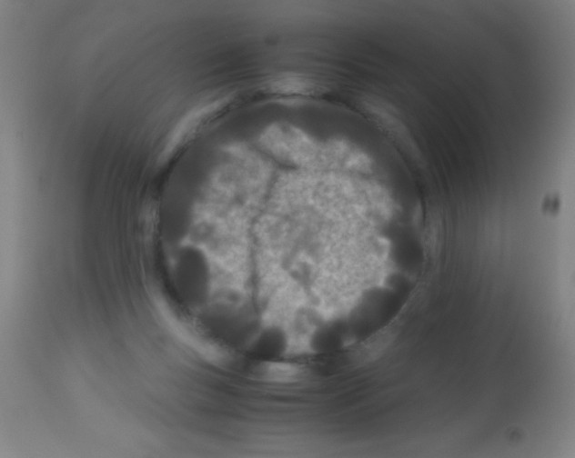 X0000113150167200910161228