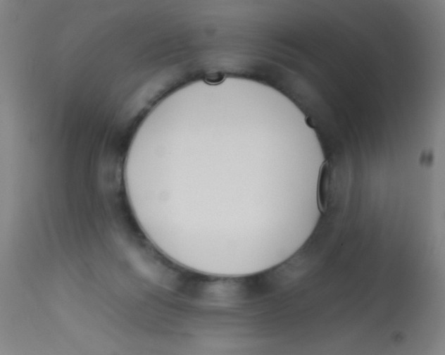 X0000113150168200910161228