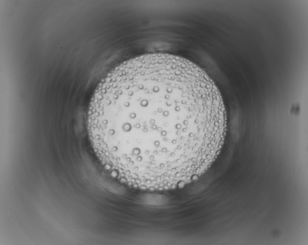 X0000113150169200910161228