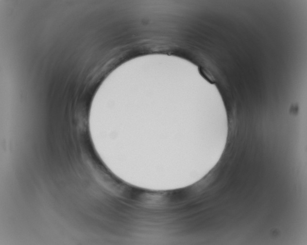 X0000113150170200910161228