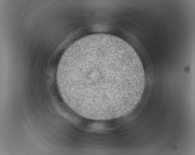 X0000113150171200910161228