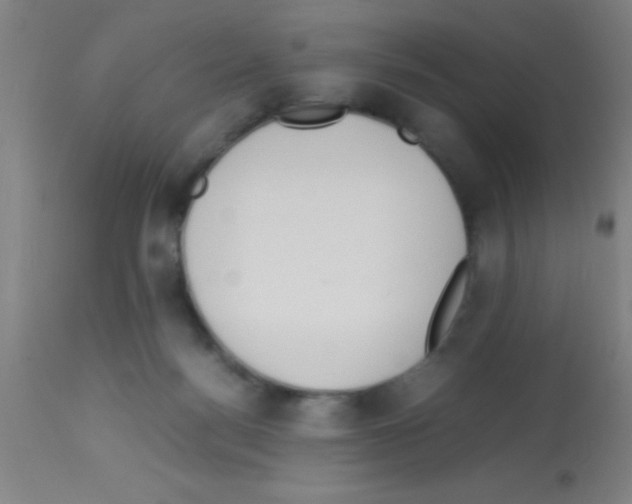 X0000113150172200910161228