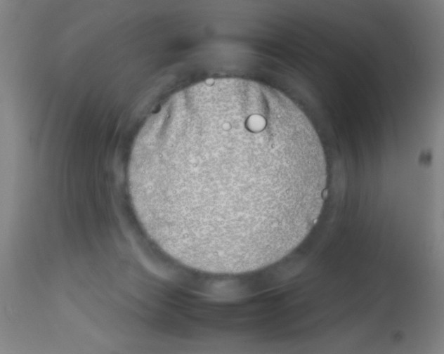 X0000113150173200910161228