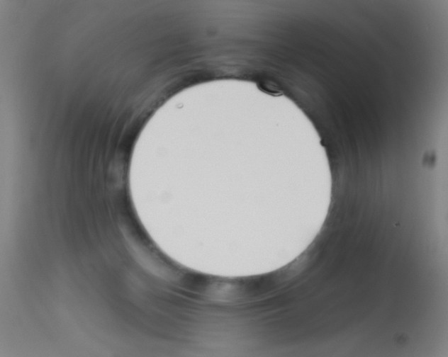 X0000113150174200910161228