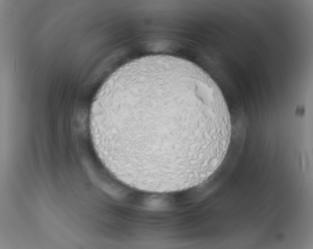 X0000113150175200910161228