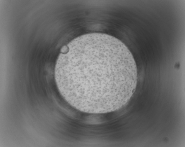 X0000113150179200910161228