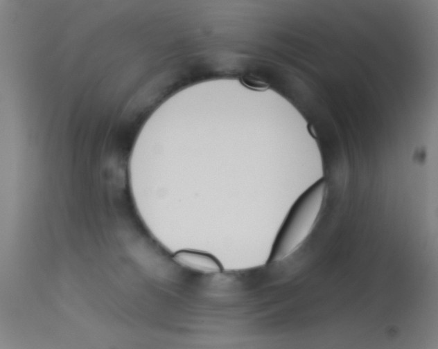 X0000113150180200910161228