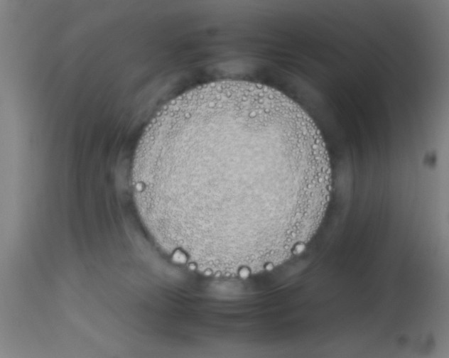 X0000113150181200910161228