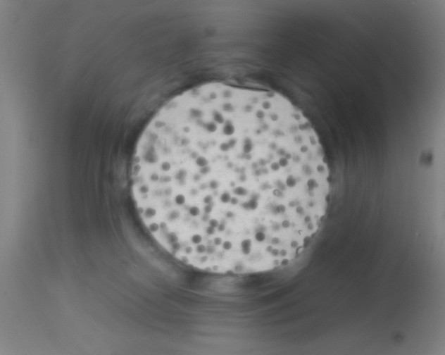 X0000113150182200910161228