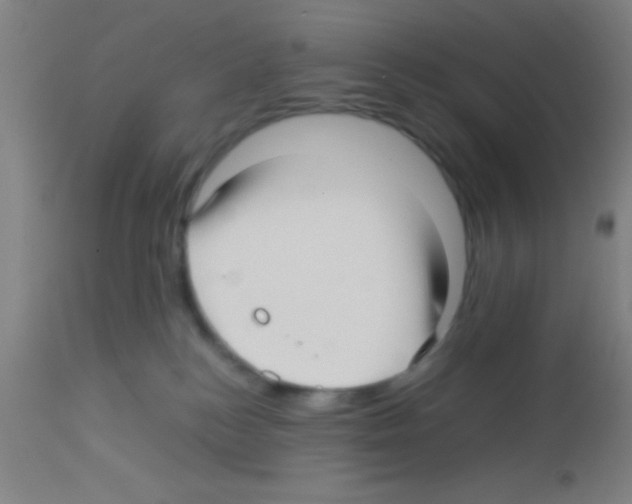 X0000113150184200910161228