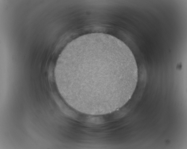 X0000113150185200910161228