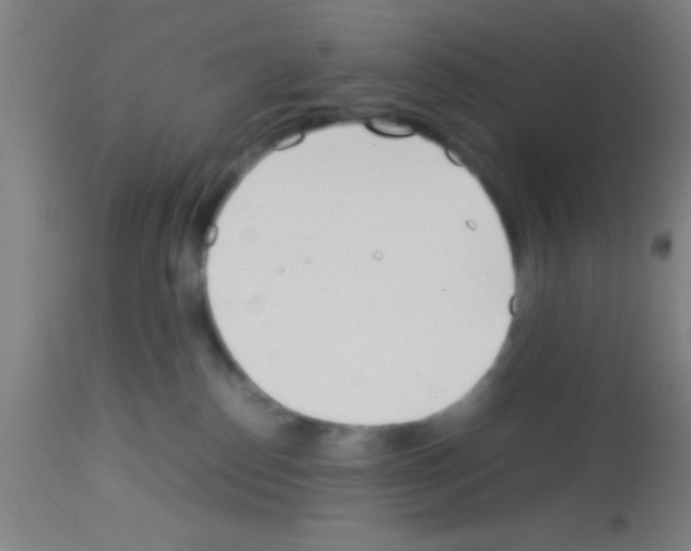 X0000113150186200910161229