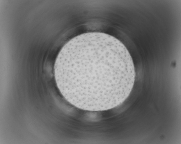 X0000113150187200910161229