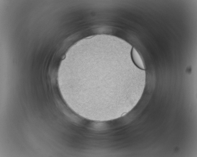 X0000113150189200910161229