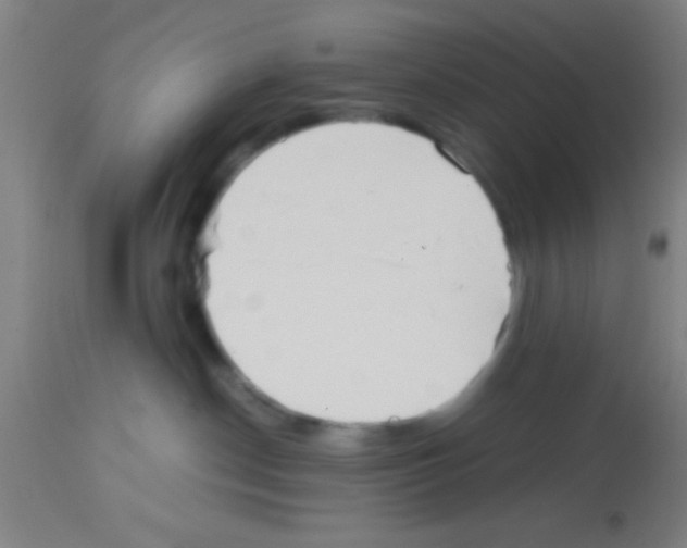 X0000113150190200910161229