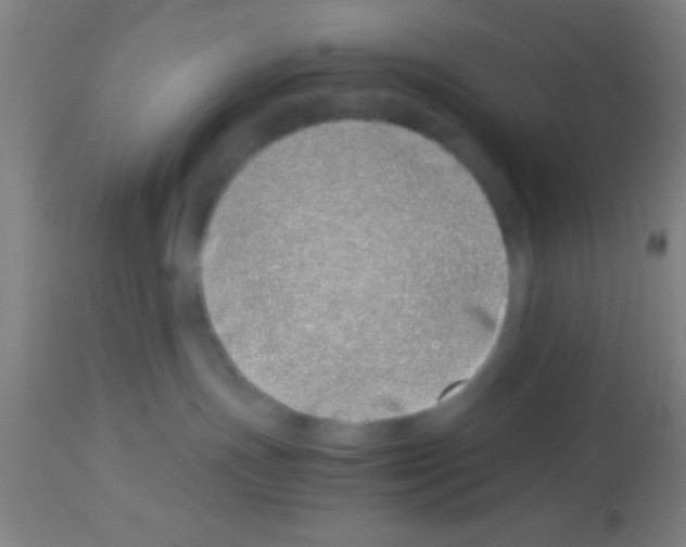 X0000113150191200910161229