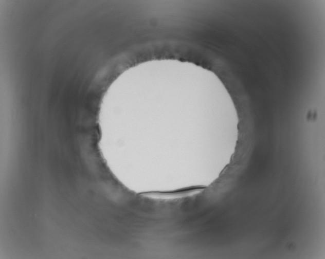 X0000113150192200910161229