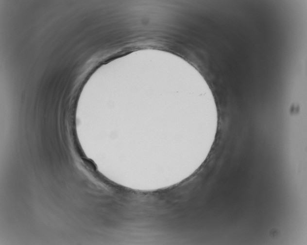 X0000113150193200910161228