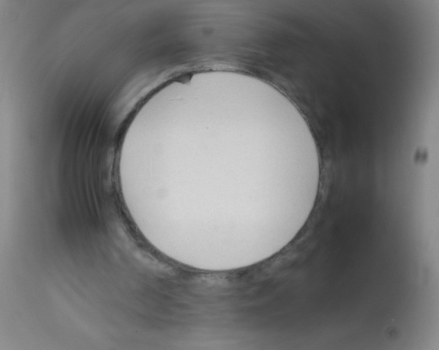 X0000113150194200910161228