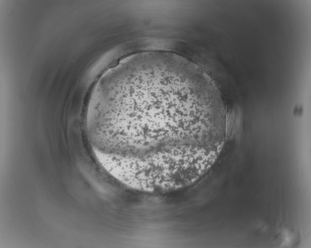 X0000113150195200910161228