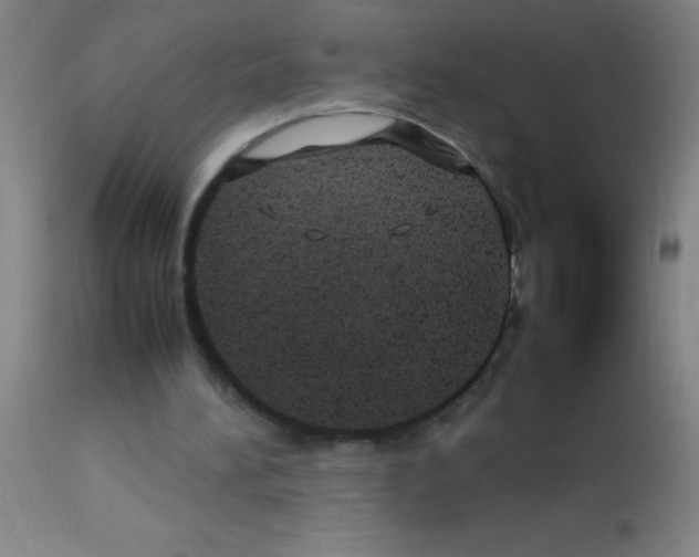 X0000113150196200910161228