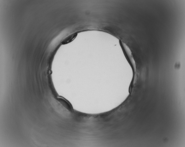 X0000113150197200910161228