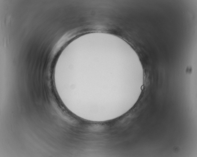 X0000113150198200910161228