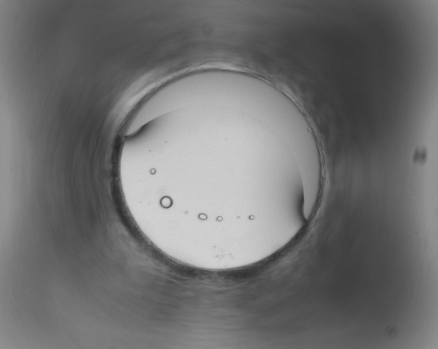 X0000113150199200910161228