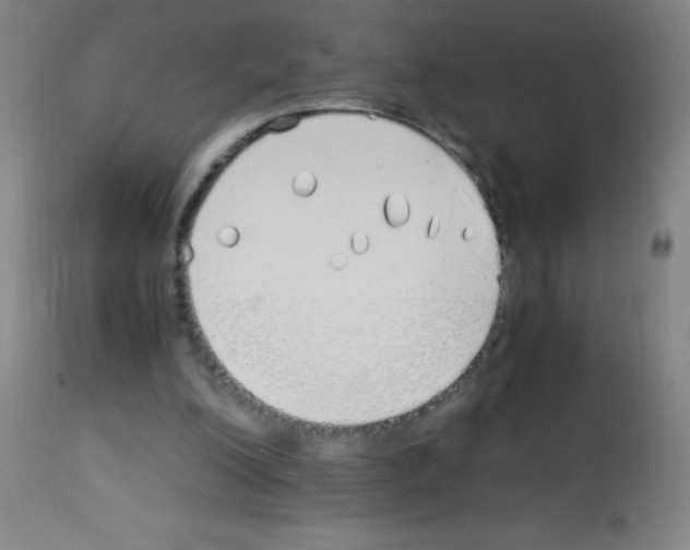 X0000113150200200910161228