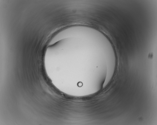 X0000113150203200910161228