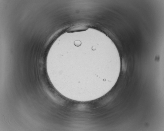 X0000113150204200910161228