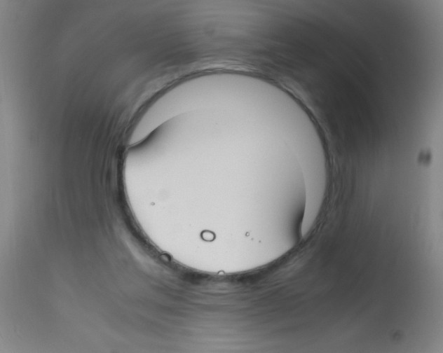 X0000113150205200910161228