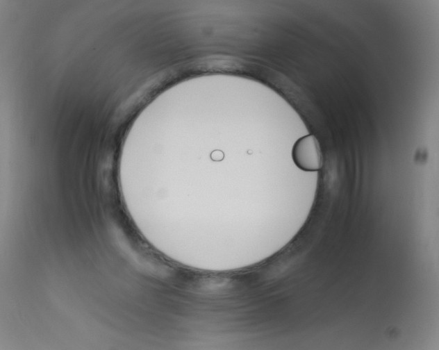 X0000113150206200910161228