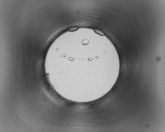 X0000113150208200910161228