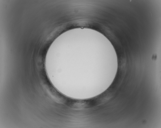 X0000113150213200910161228