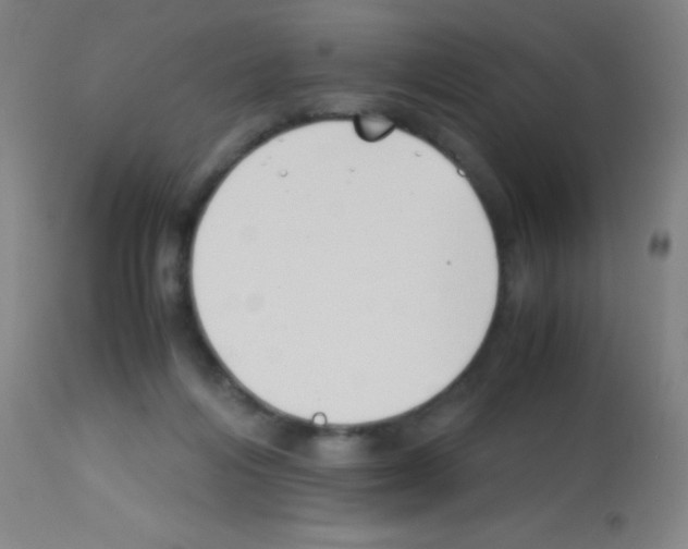 X0000113150216200910161228