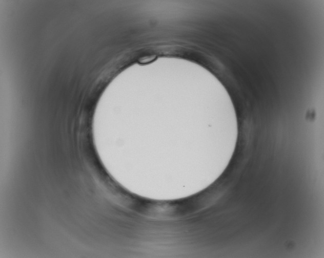 X0000113150217200910161228