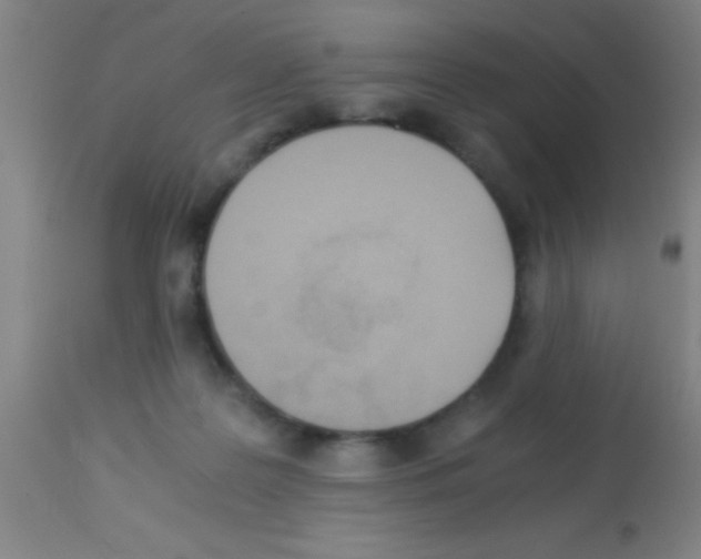 X0000113150219200910161228